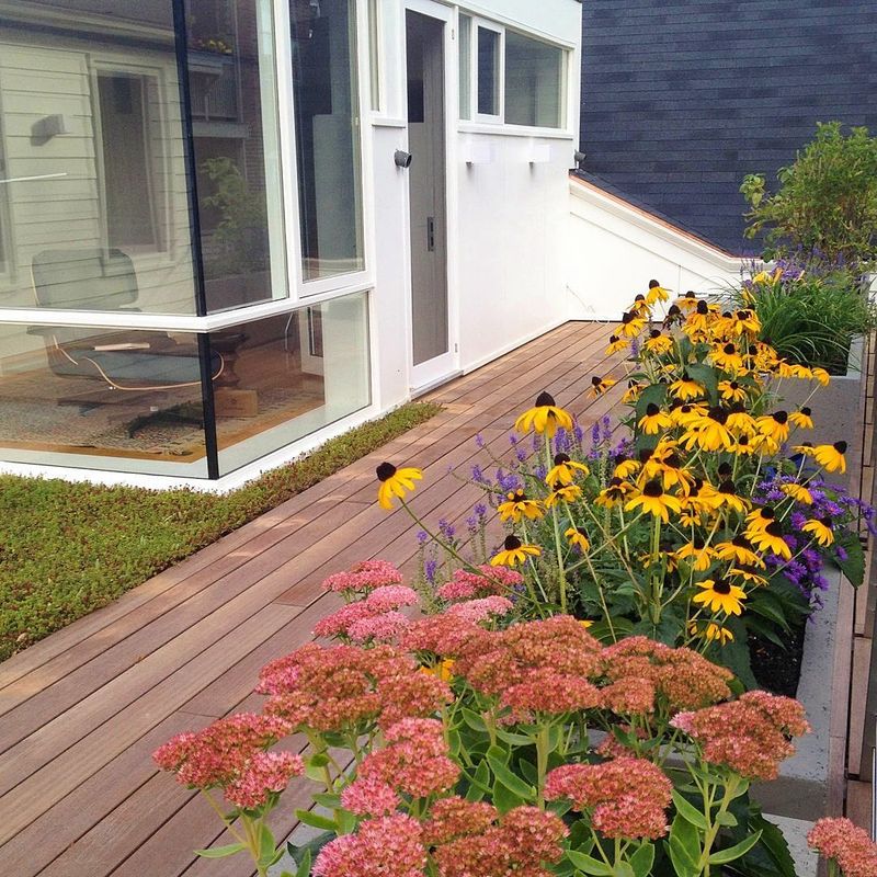 Green Roofs