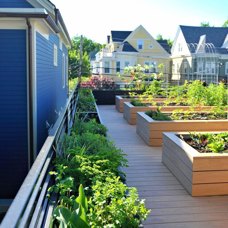 Green Roofs