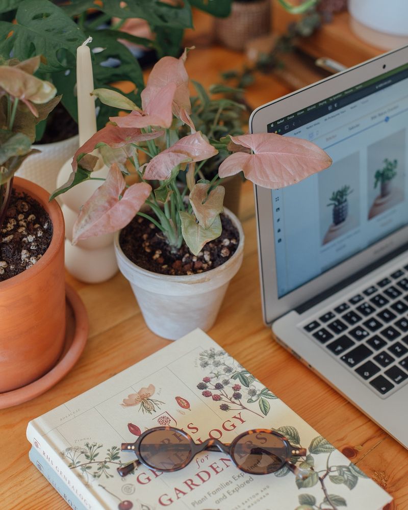 Green Thumb Planning