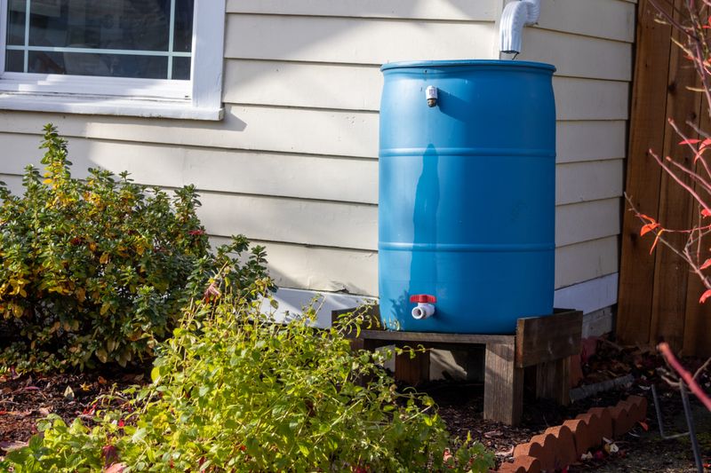 Grey Water Recycling