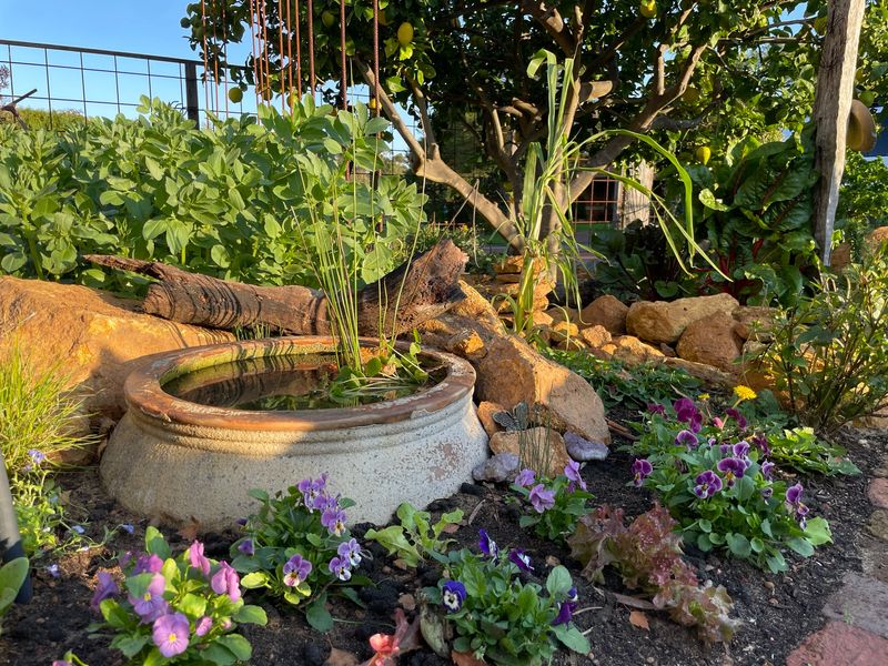 Greywater Recycling