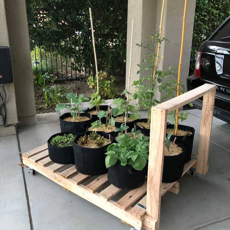 Grow Bags