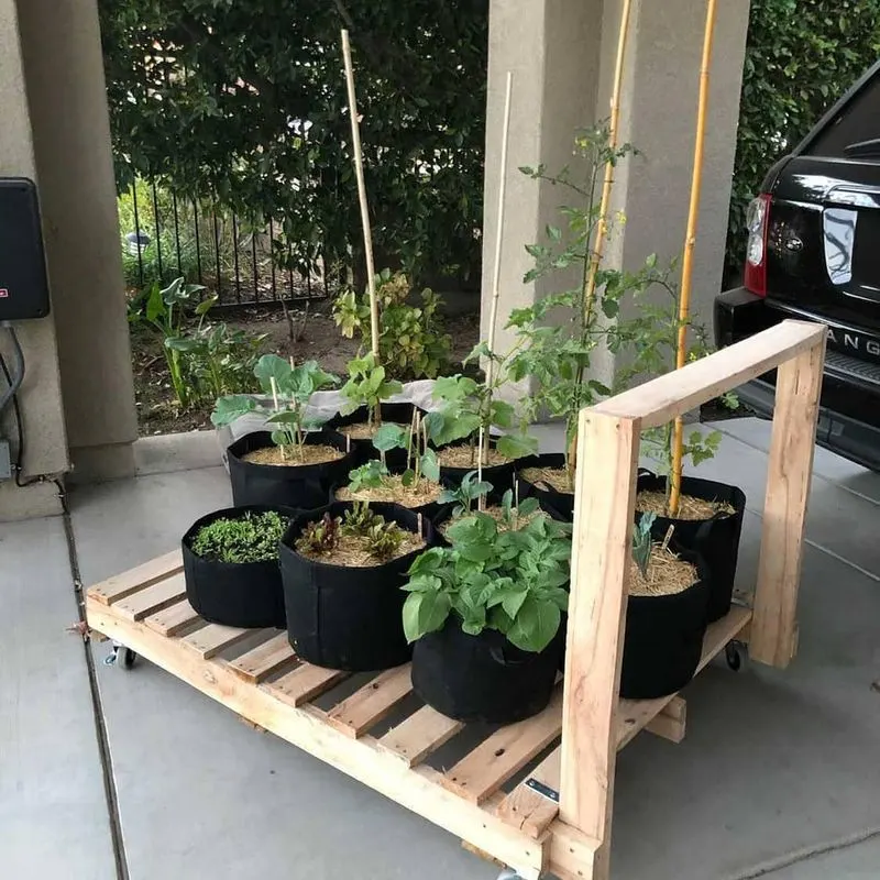 Grow Bags