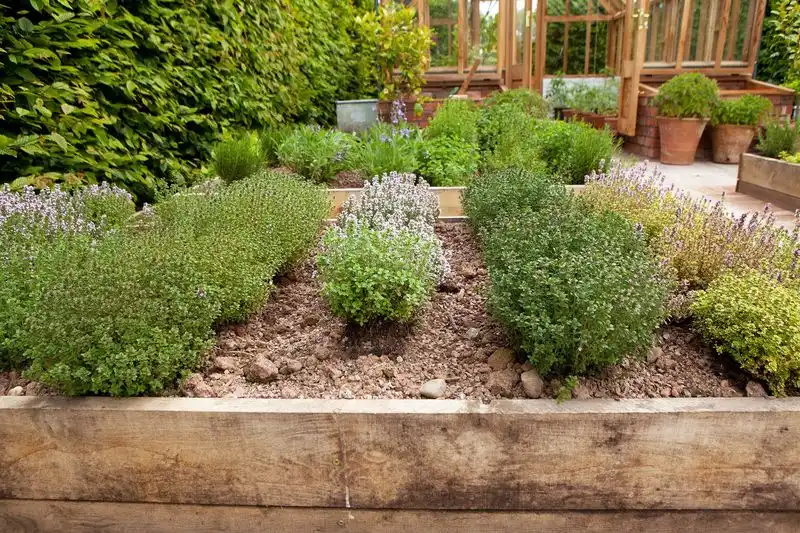 Grow Herbs
