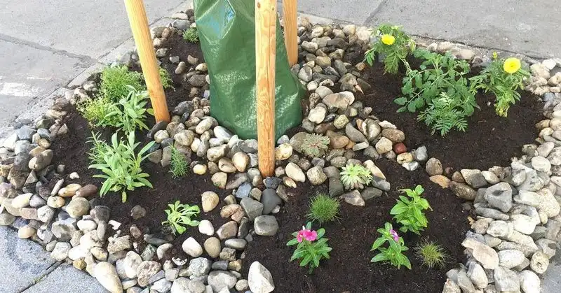 Guerilla Gardening