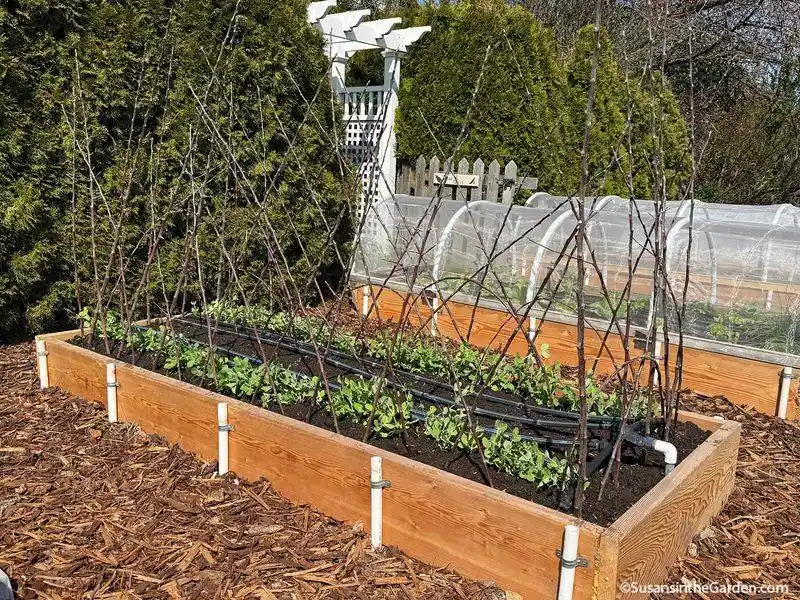Gutter Gardens