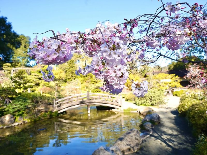 Hakone Gardens