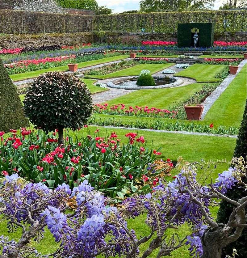 Hampton Court Palace Flower Show