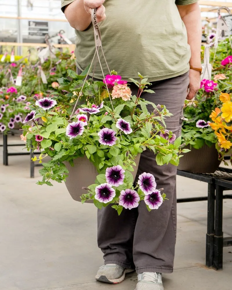 Hanging Baskets