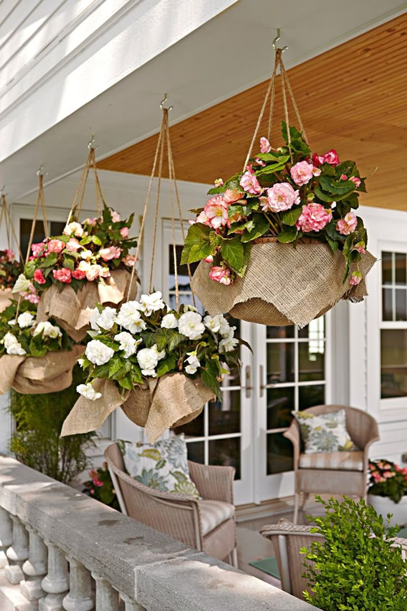 Hanging Baskets