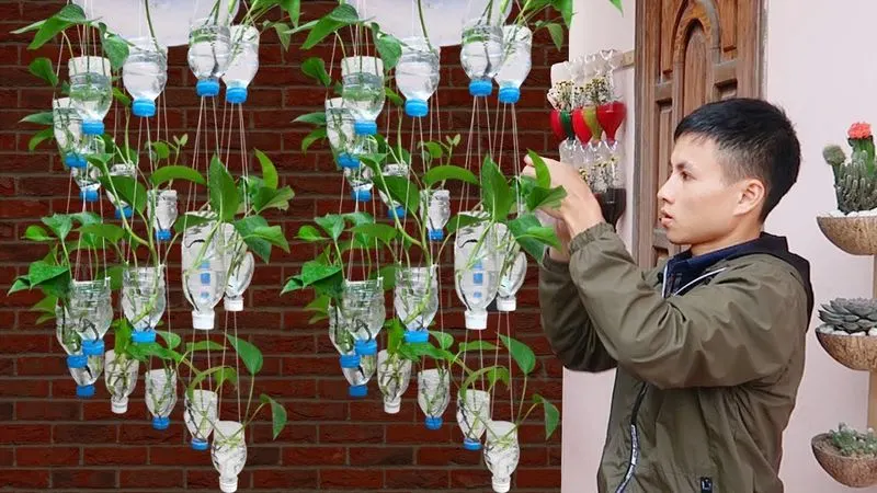 Hanging Bottle Garden