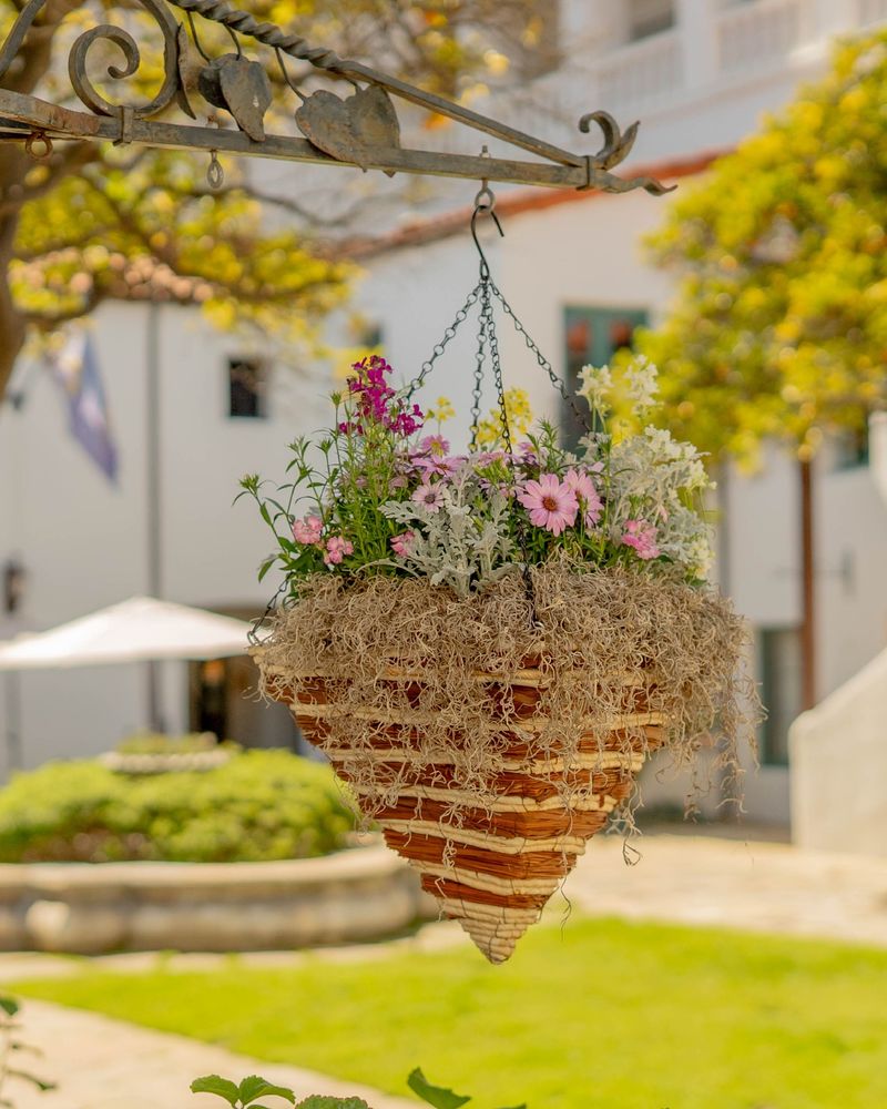 Hanging Flower Baskets