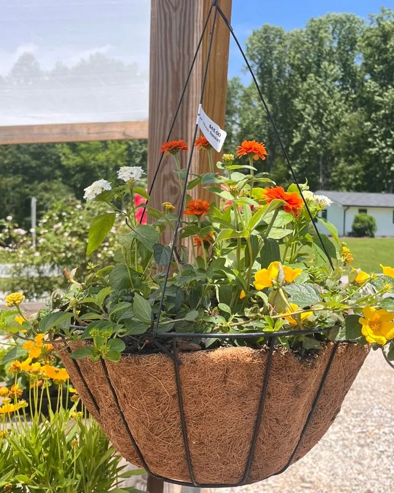 Hanging Flower Baskets