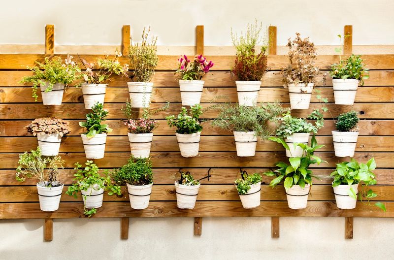 Hanging Herb Garden