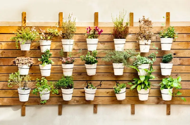 Hanging Herb Garden