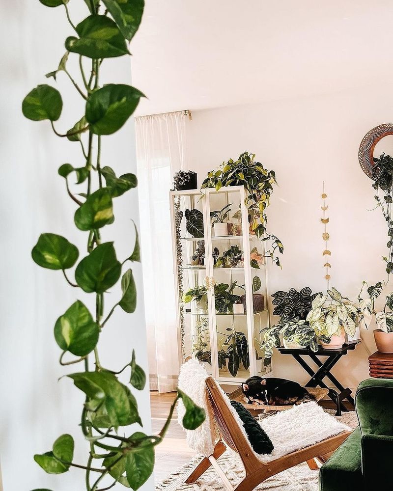 Hanging Ivy Wall Art