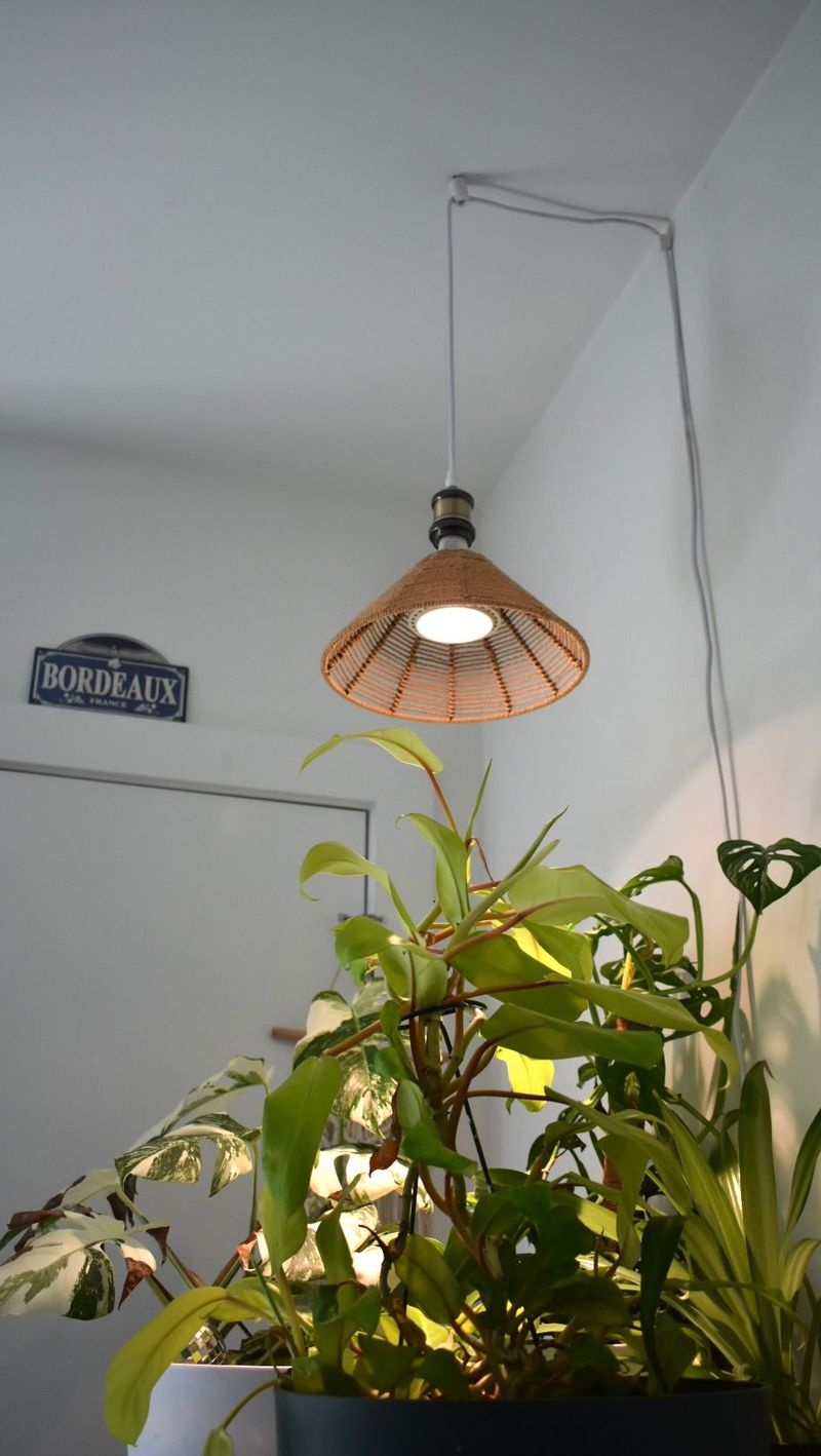 Hanging Light Fixtures