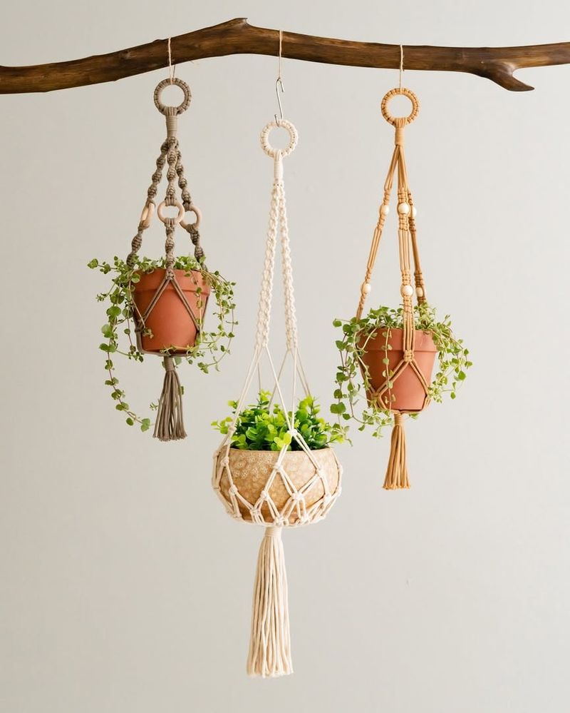 Hanging Macrame Planter