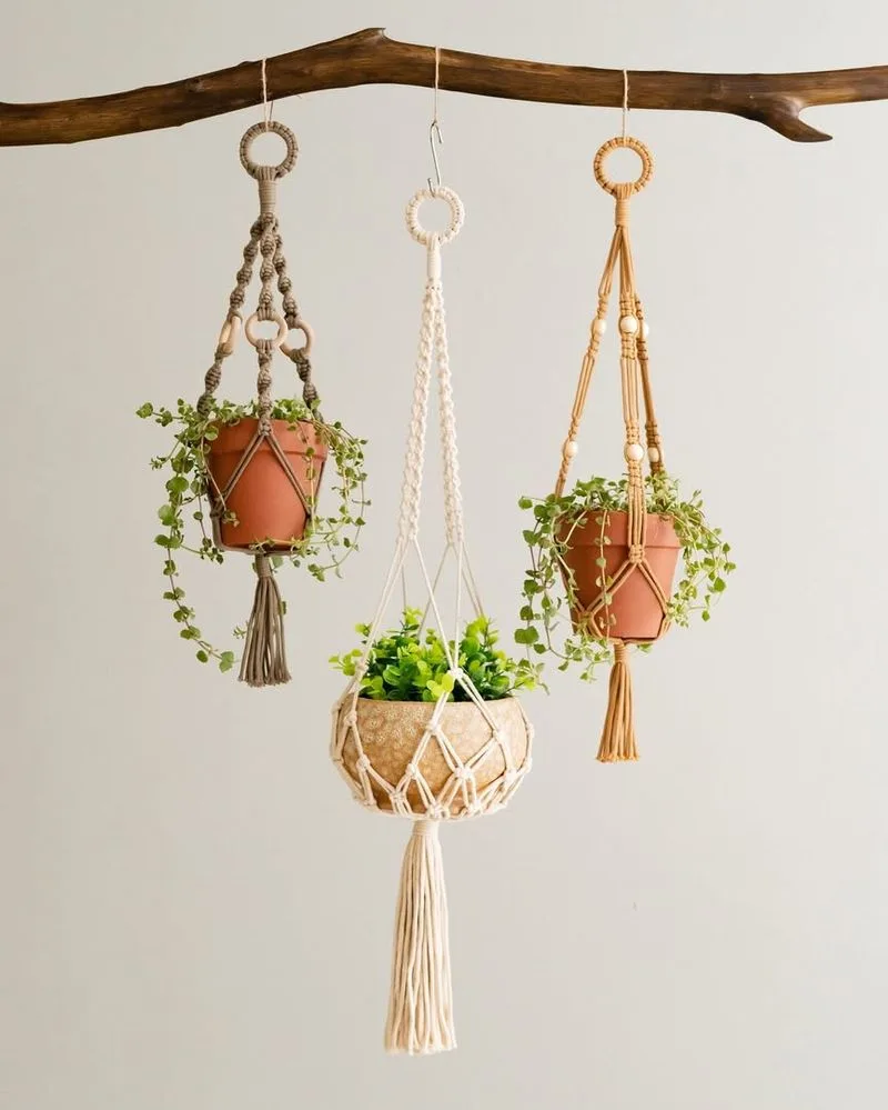 Hanging Macrame Planter