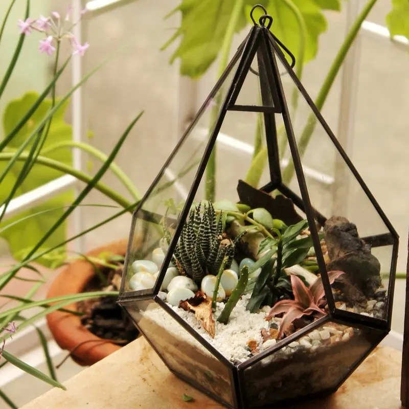 Hanging Mason Jar Terrariums