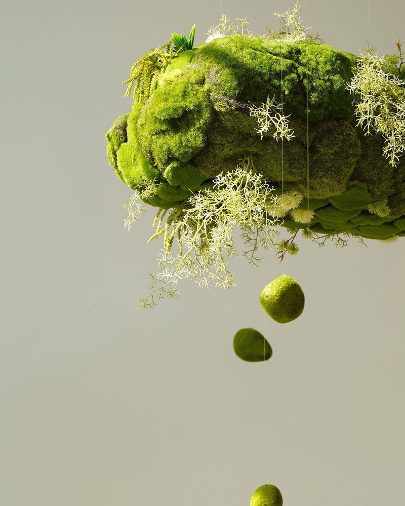 Hanging Moss Balls