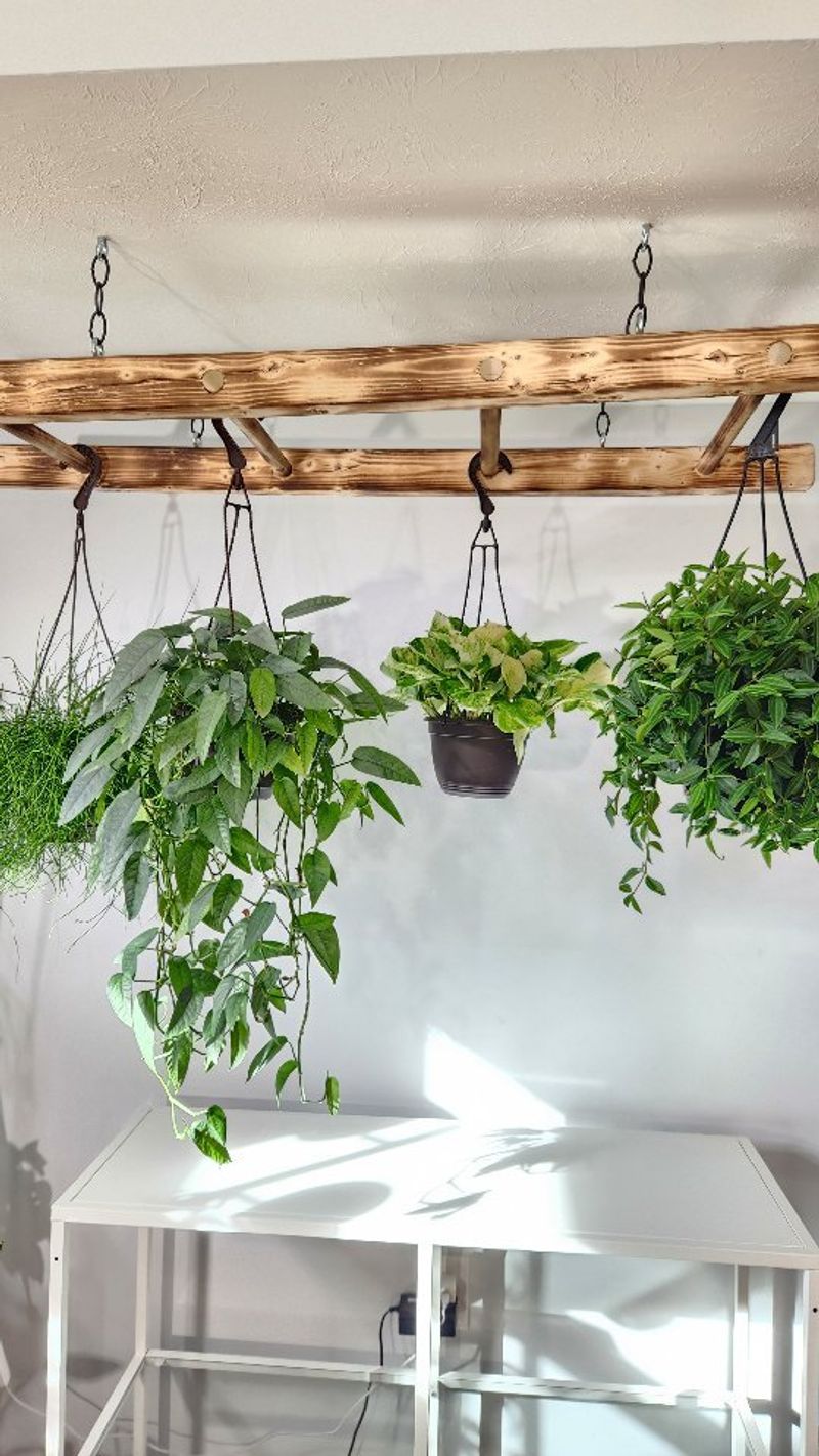 Hanging Planters