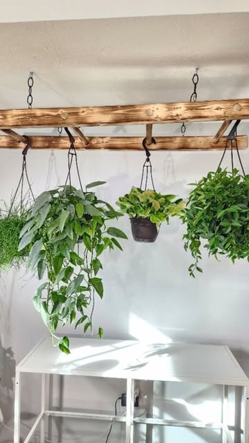Hanging Planters