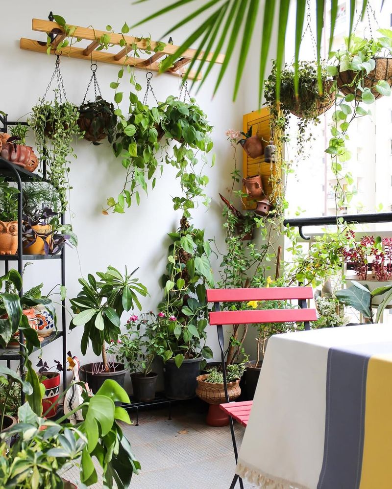 Hanging Planters