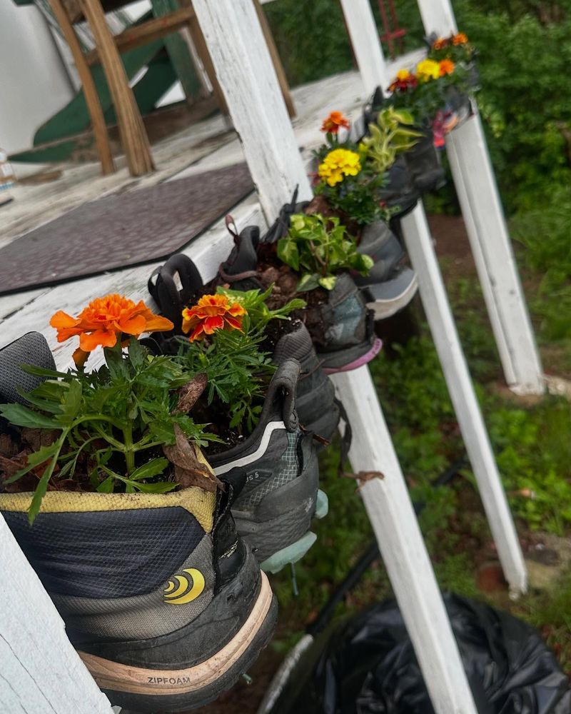Hanging Planters from Shoes