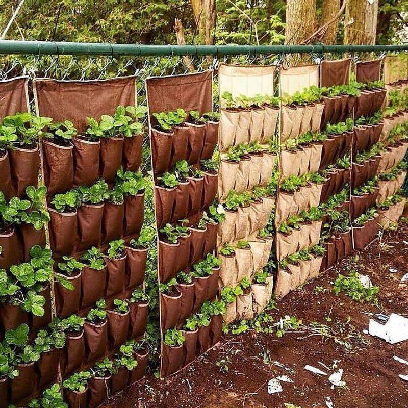 Hanging Shoe Organizer Garden