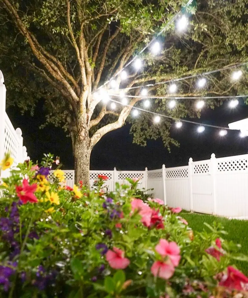 Hanging String Lights