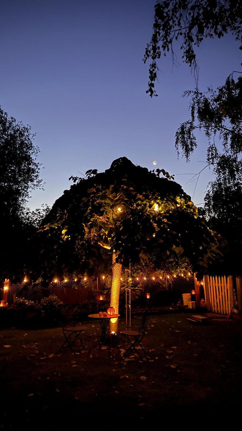 Hanging String Lights
