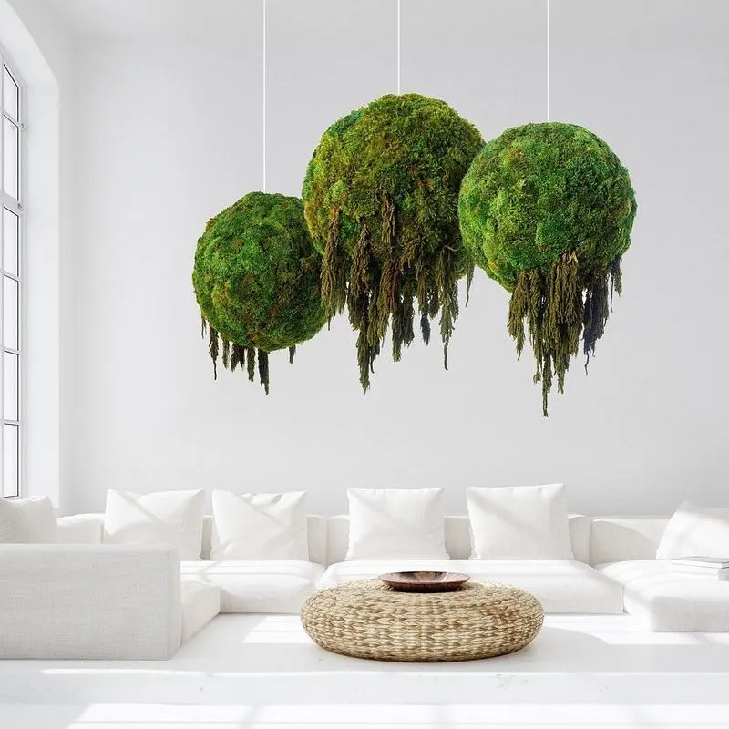 Hanging Terrariums