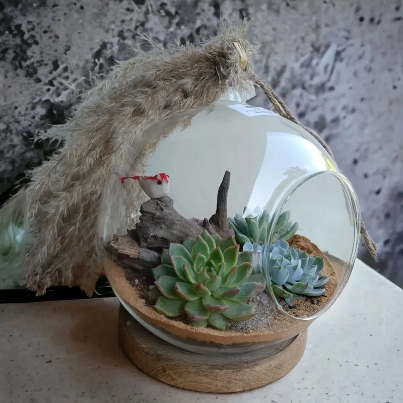 Hanging Terrariums