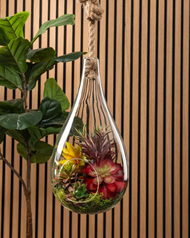 Hanging Terrariums