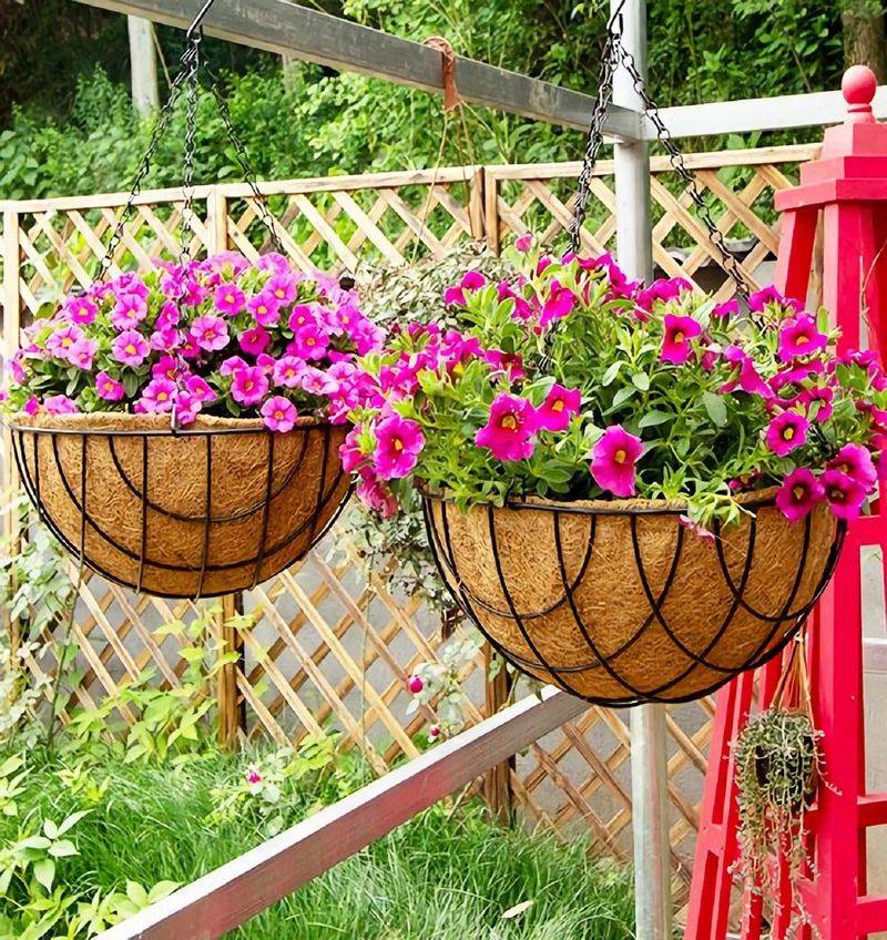Hanging Wire Basket Garden