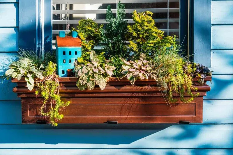 Herb Box Centerpiece