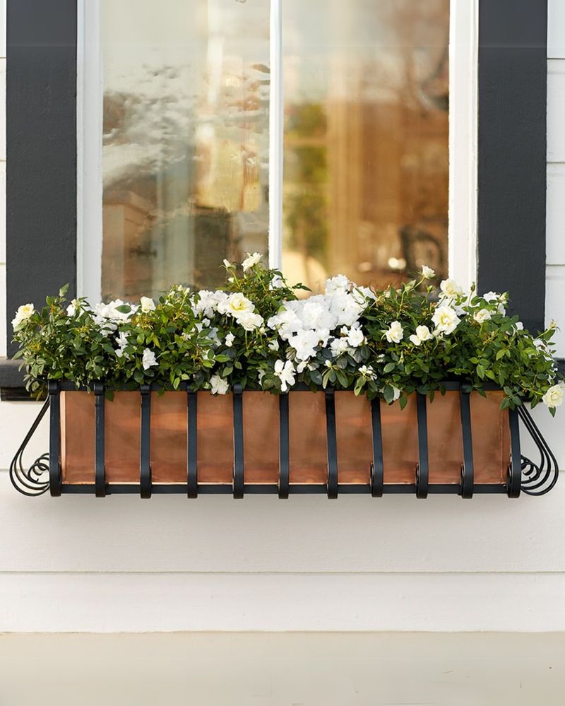Herb Box Windows