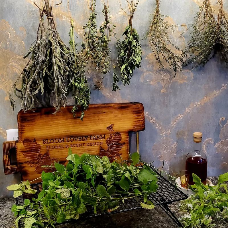 Herb Drying