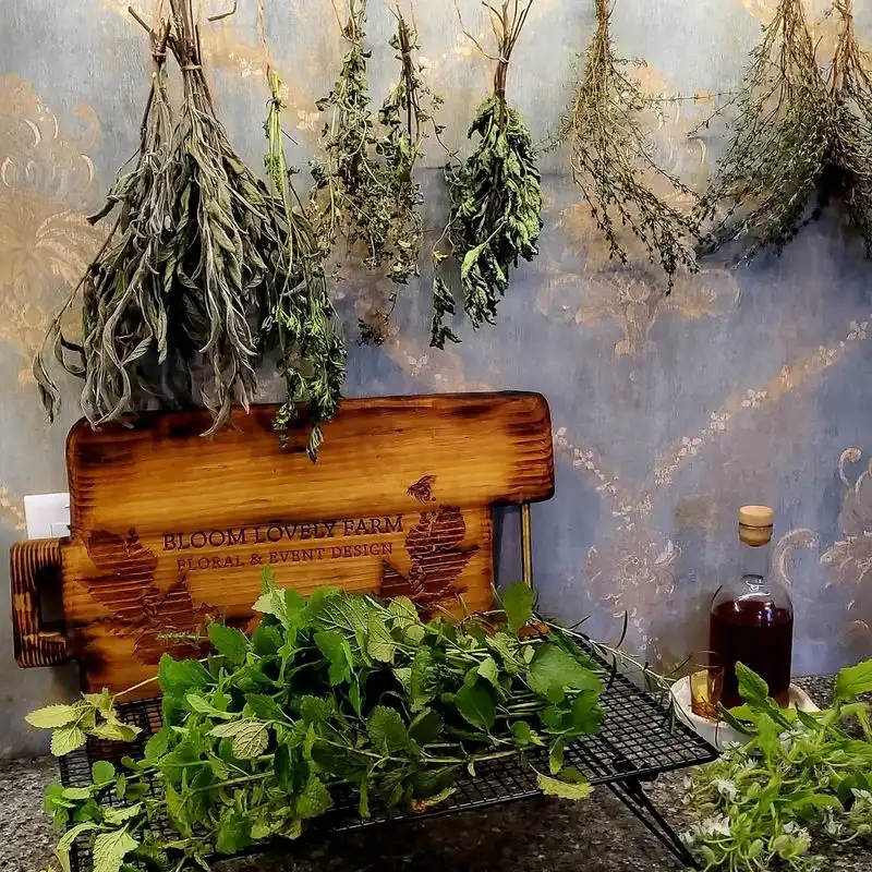 Herb Drying