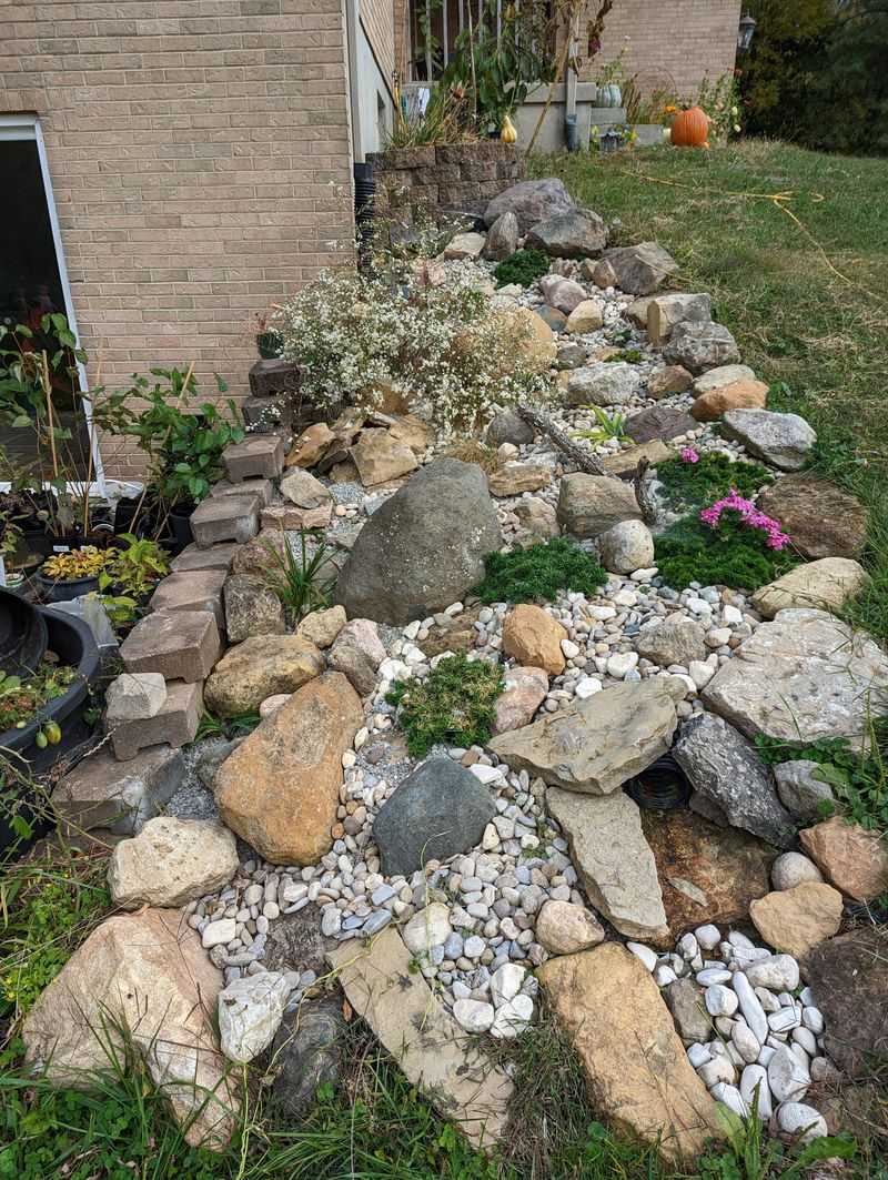 Rock Garden