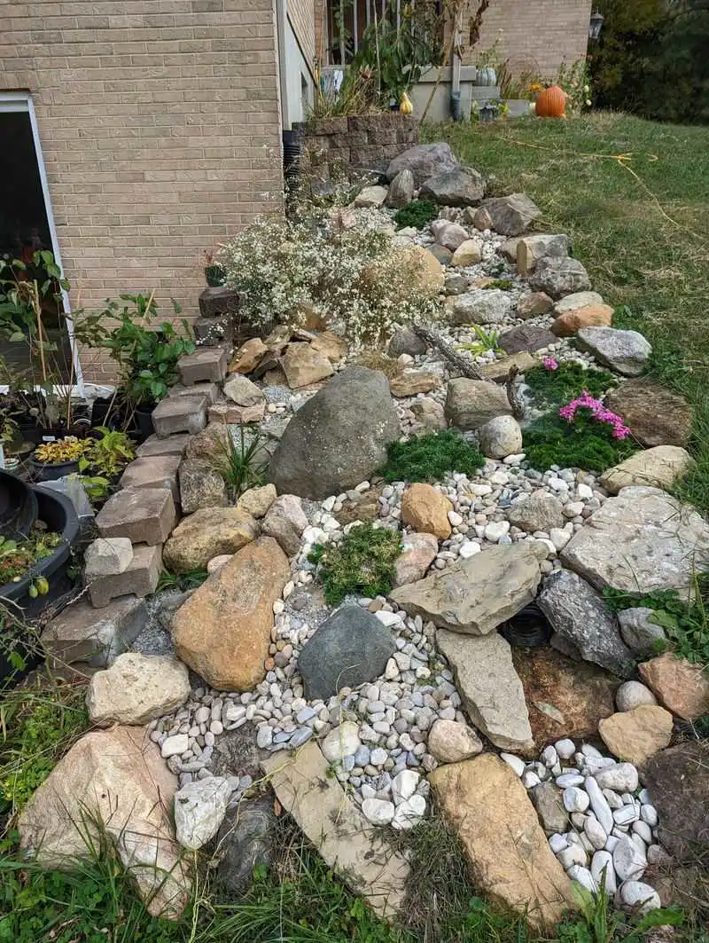 Rock Garden