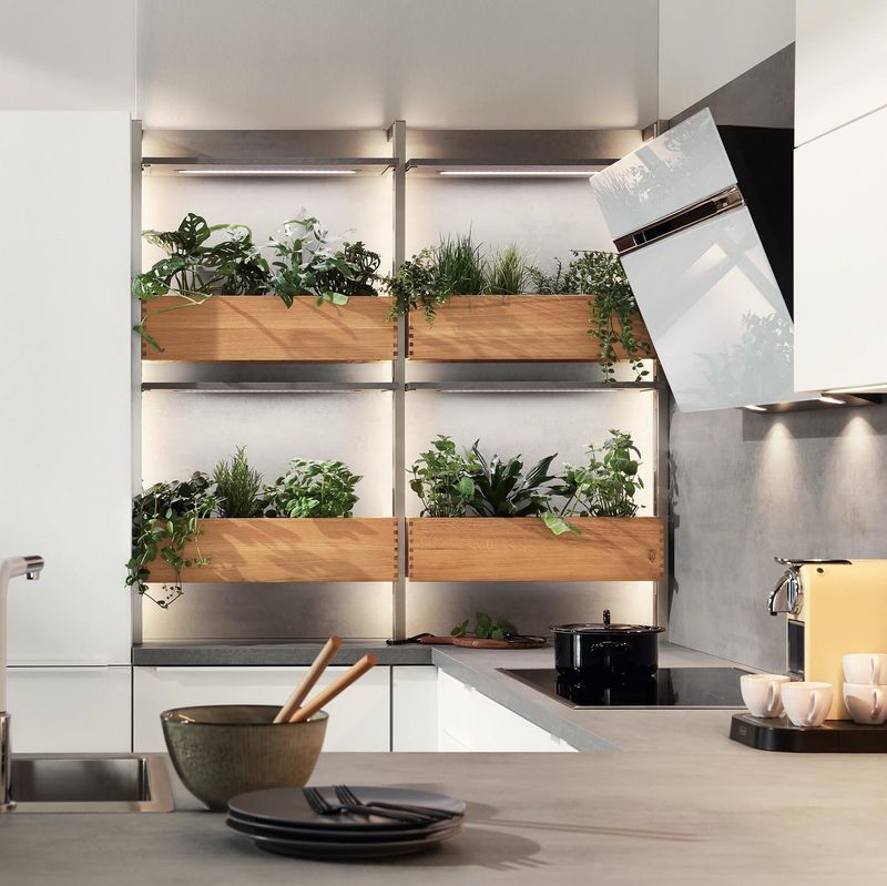 Herb Garden Kitchen Display