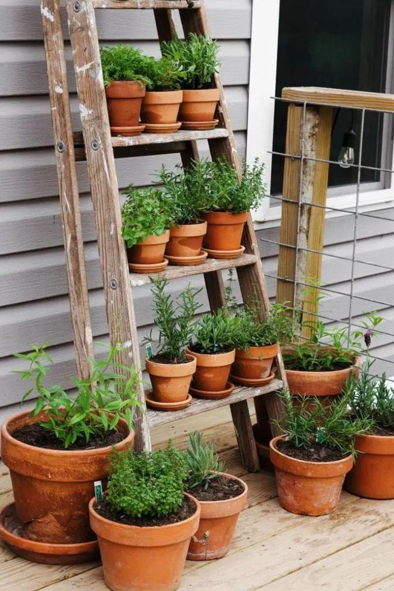 Herb Garden