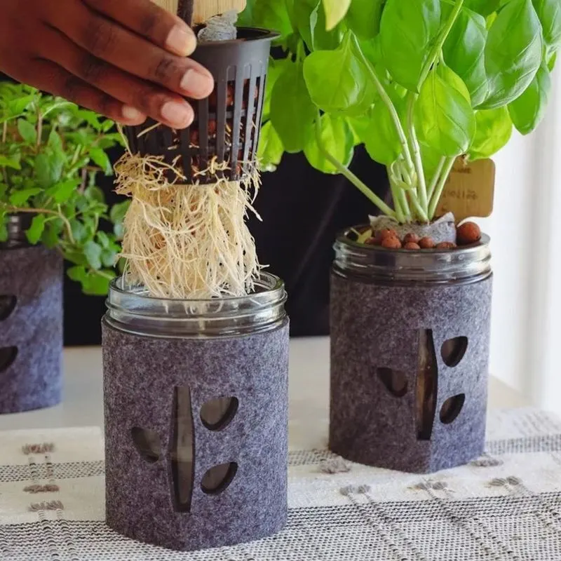Herb Growing Kit
