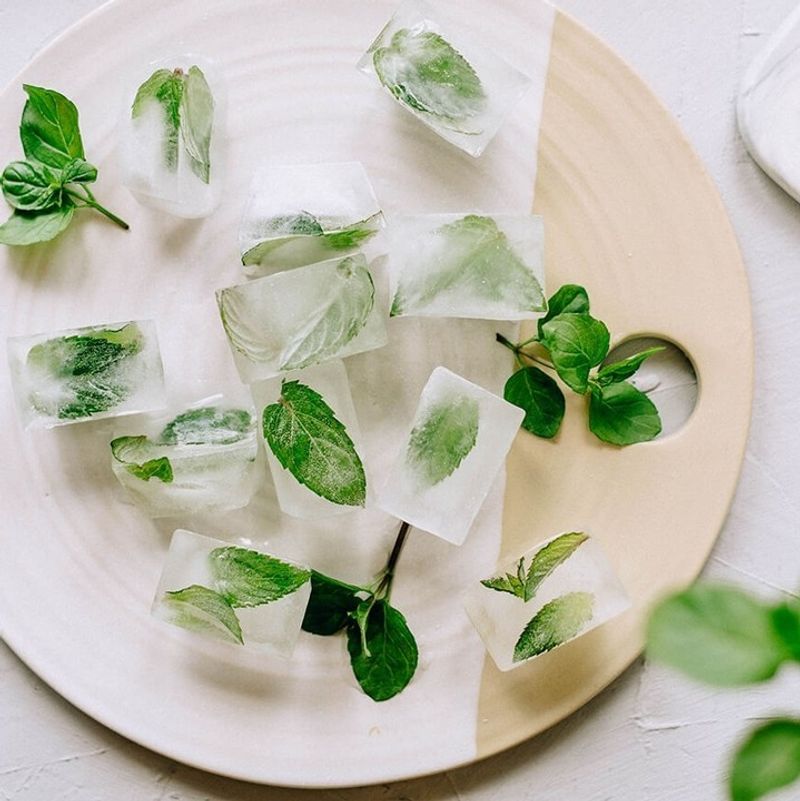 Herb-Infused Ice Cubes