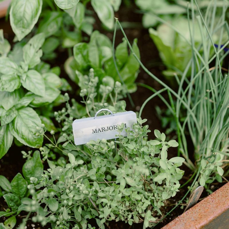 Herb Kitchen Gardens