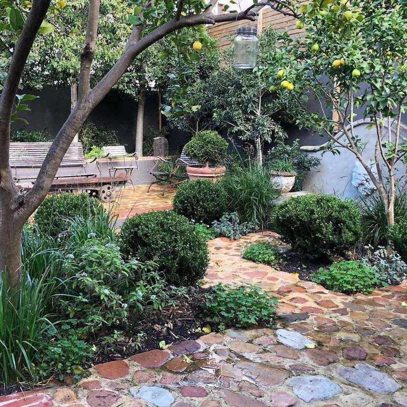Herb-Lined Pathway