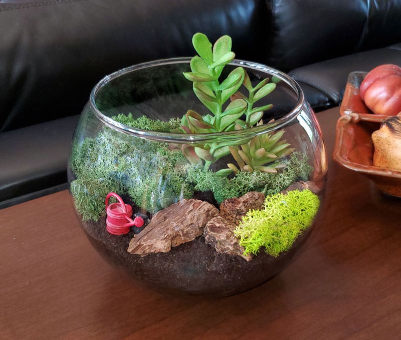 Herb Terrarium