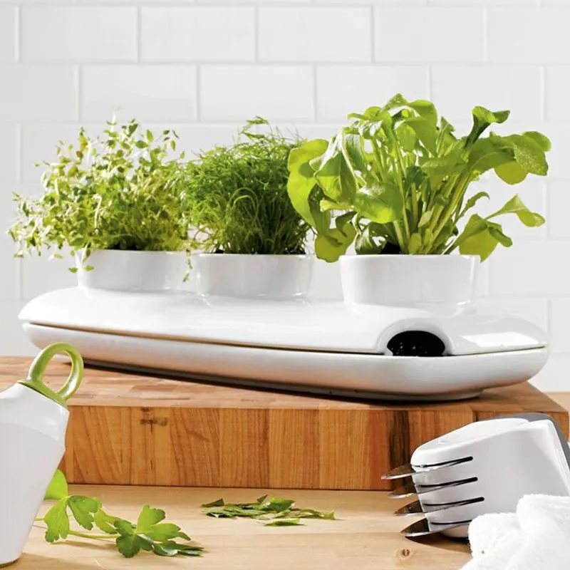 Herb Trio